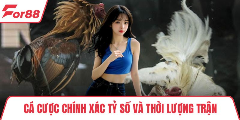 Trực Tiếp Gà Chọi - Kênh Xem Đá Gà Uy Tín, Chất Lượng Cao Cá cược chính xác tỷ số và thời lượng trận