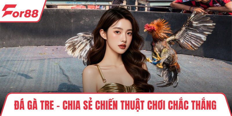 Đá Gà Tre - Chia Sẻ Chiến Thuật Chơi Chắc Thắng Từ Cao Thủ Đá Gà Tre - Chia Sẻ Chiến Thuật Chơi Chắc Thắng Từ Cao Thủ