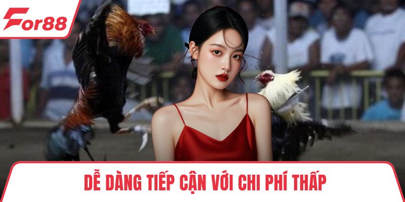 Đá Gà Tre - Chia Sẻ Chiến Thuật Chơi Chắc Thắng Từ Cao Thủ Dễ dàng tiếp cận với chi phí thấp