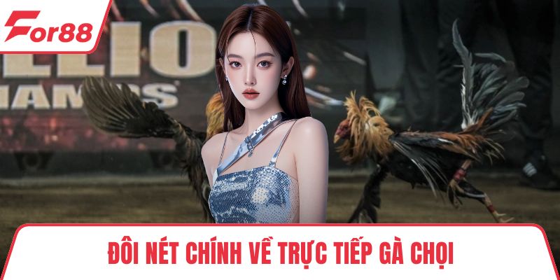 Trực Tiếp Gà Chọi - Kênh Xem Đá Gà Uy Tín, Chất Lượng Cao Đôi nét chính về trực tiếp gà chọi
