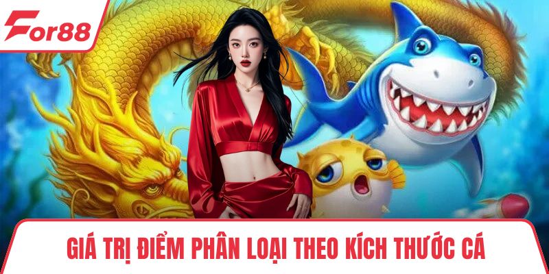 Giá trị điểm phân loại theo kích thước cá