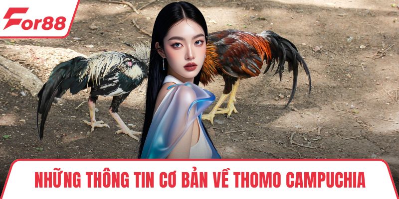 Thomo Campuchia Tại FOR88 - Cược Đã Tay, Xem Cực Gay Cấn Những thông tin cơ bản về Thomo Campuchia