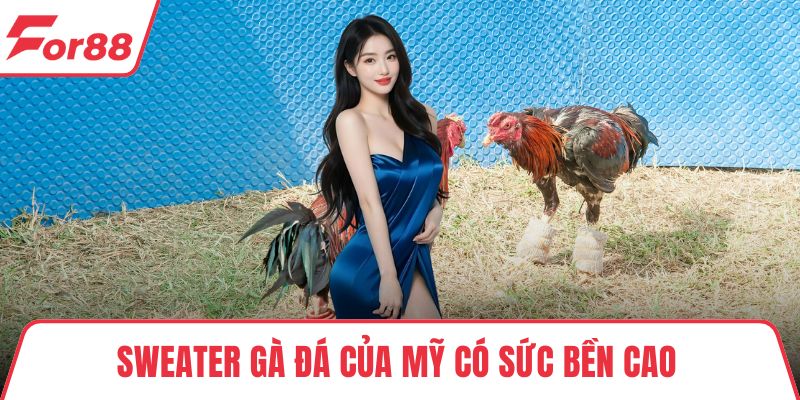 Đá Gà Mỹ - Khám Phá Giống Chiến Kê Tốc Độ, Bền Bỉ, Mạnh Mẽ Sweater gà đá của Mỹ có sức bền cao