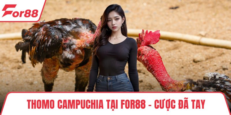 Thomo Campuchia Tại FOR88 - Cược Đã Tay, Xem Cực Gay Cấn Thomo Campuchia Tại FOR88 - Cược Đã Tay, Xem Cực Gay Cấn